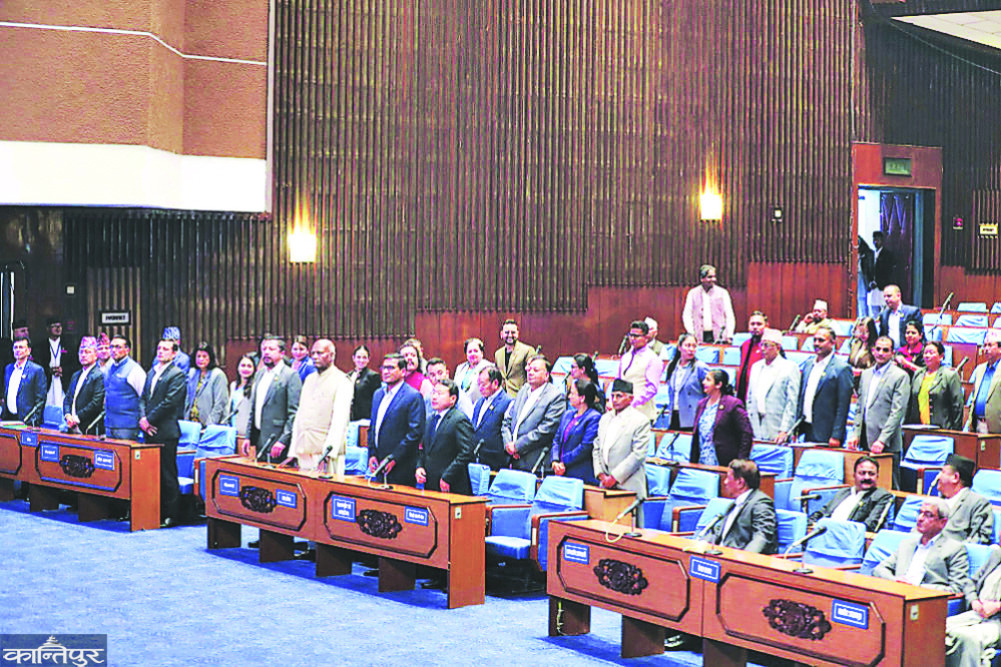 Credibility of Parliament tarnished by fraud in Civil Bill