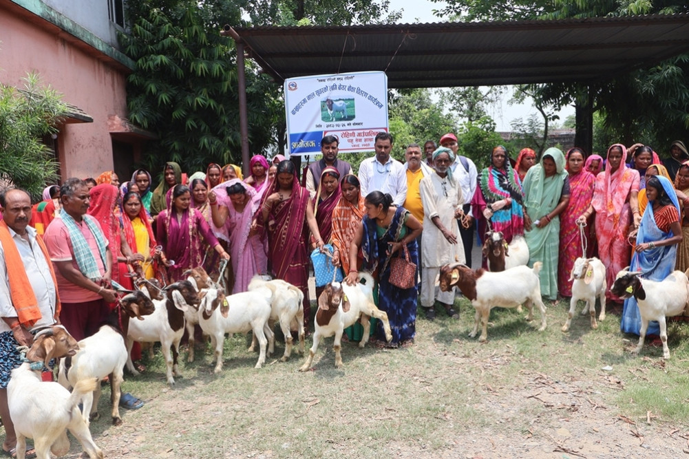 Distribution of Boer goats to the farmers of Rehini