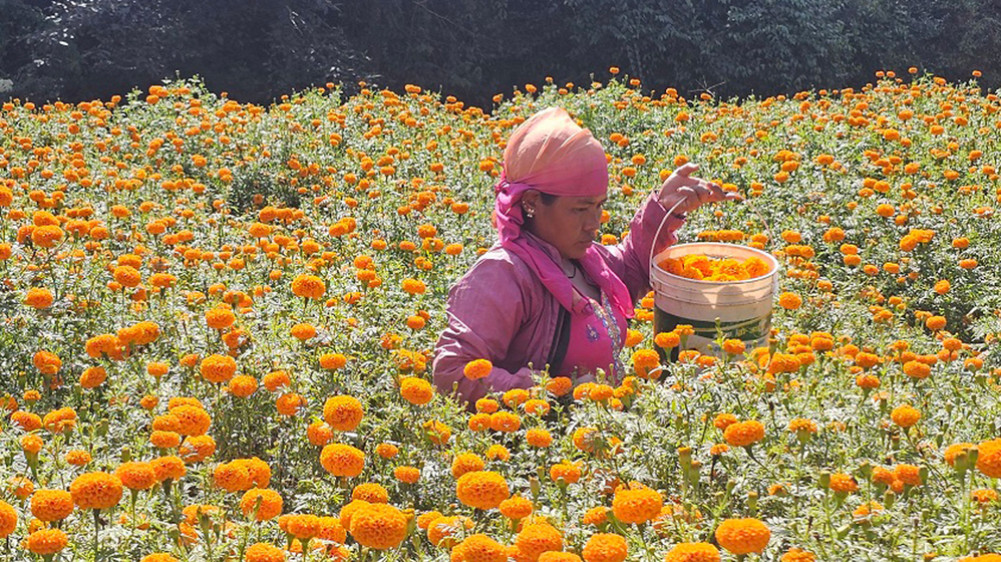 Flower Festival