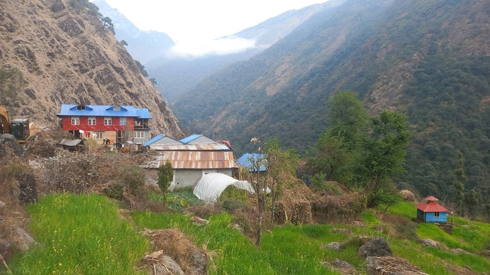 A two-meter wide road in the midst of monkey fighting, the anonymous village became a place for tourists to stay