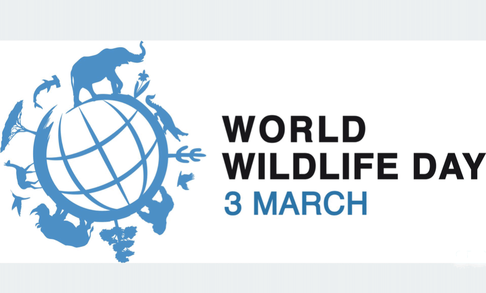 Today is World Wildlife Day