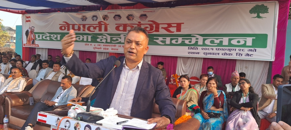Let's form a high-level investigation committee to investigate the corruption so far: Mahamantri Thapa