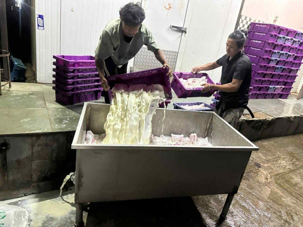 1700 liters of milk of Shiv Dairy was destroyed after low quality milk was found