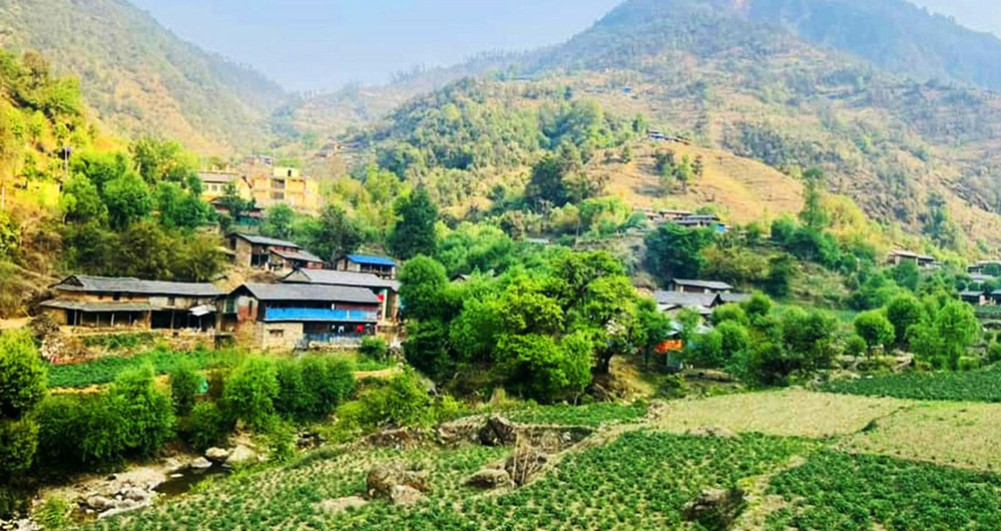 Potato production worth one billion 946 million in Baglung