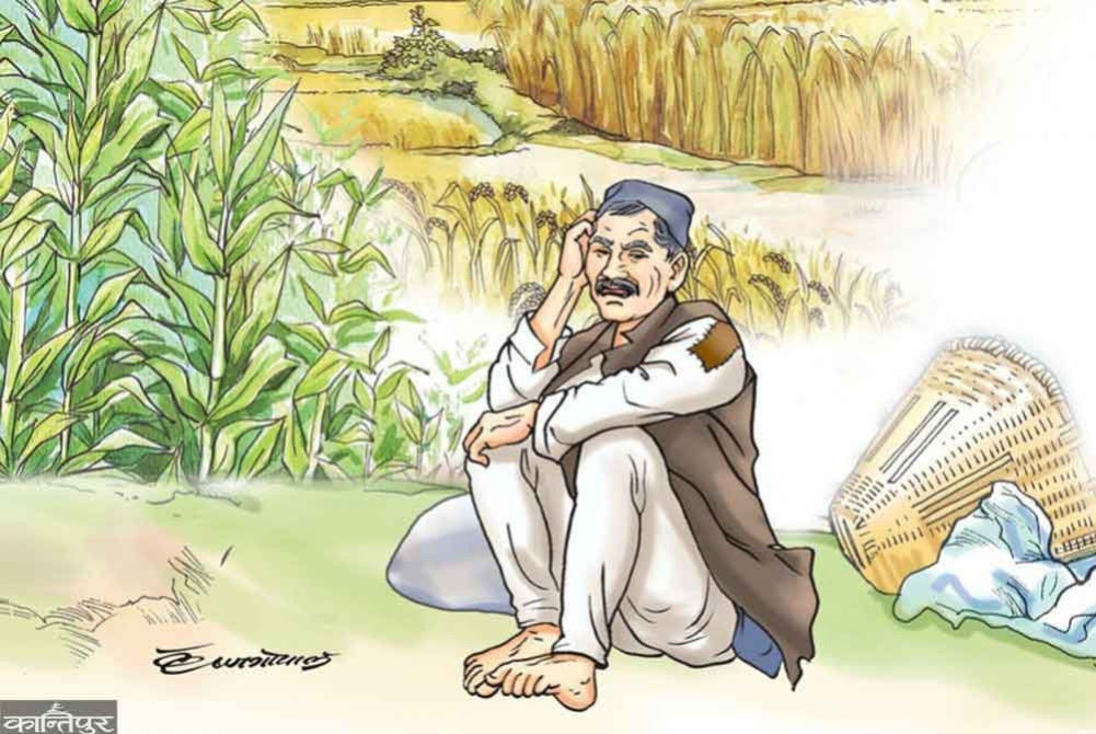 Agrarian countries depend on the main crop