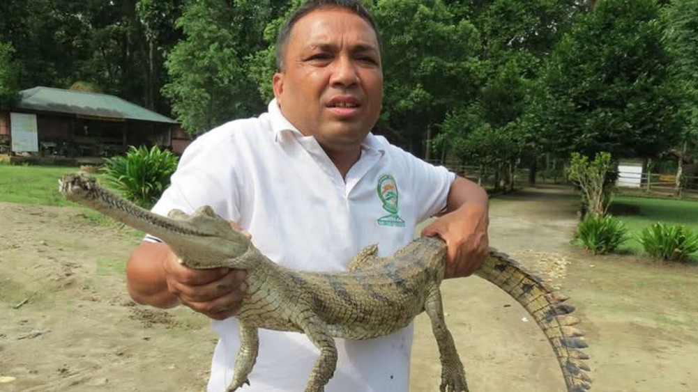 Ghadiyal is no longer the ”close shepherd” of crocodiles.