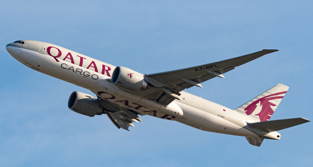 Ship carrying elephants from Qatar diverts to Kolkata due to bad weather in Bhairahawa