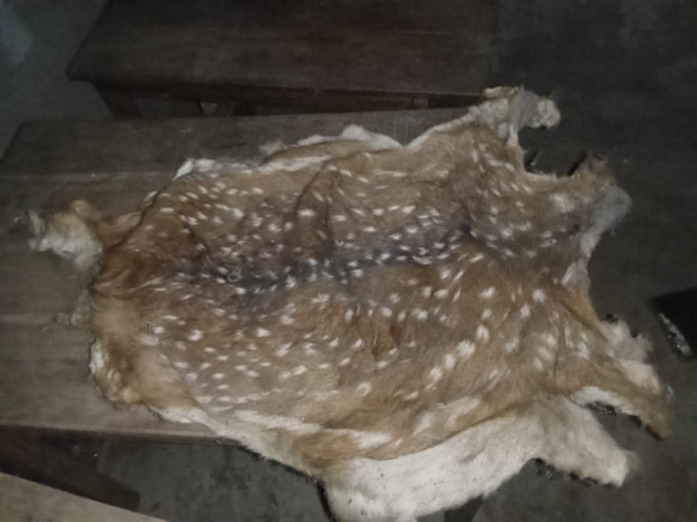 Indian citizens arrested with customs evading clothes and deer skins