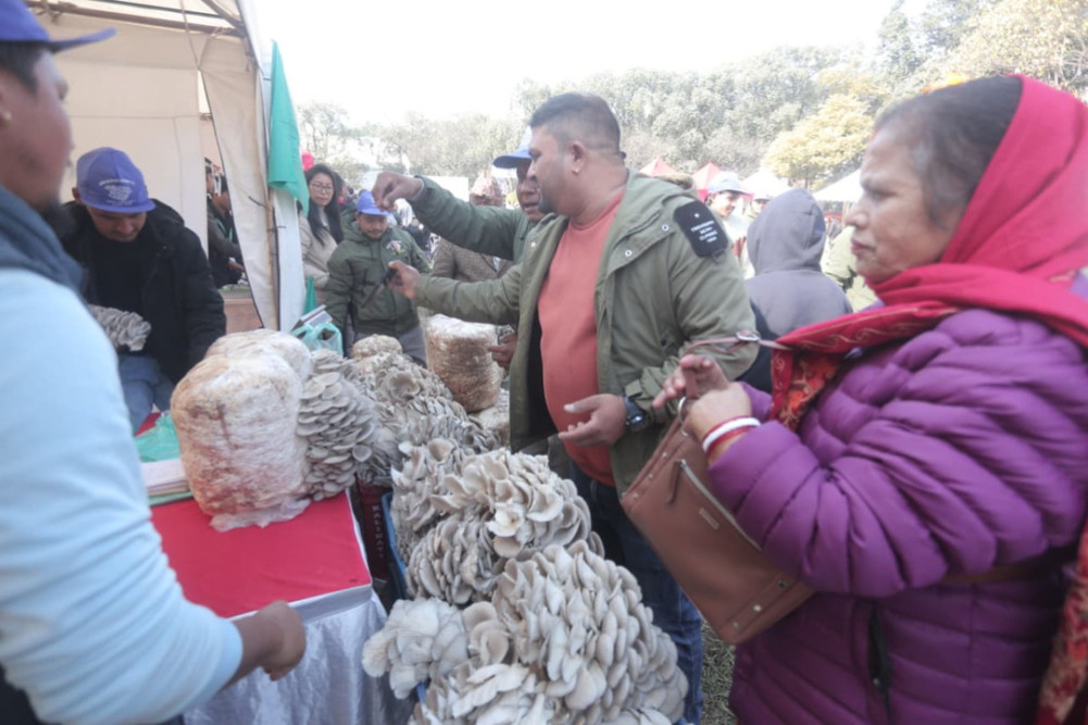 Mushroom Day celebrated