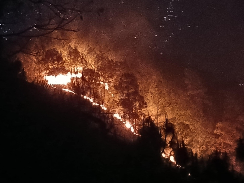 Fire in community forest of Dhankuta