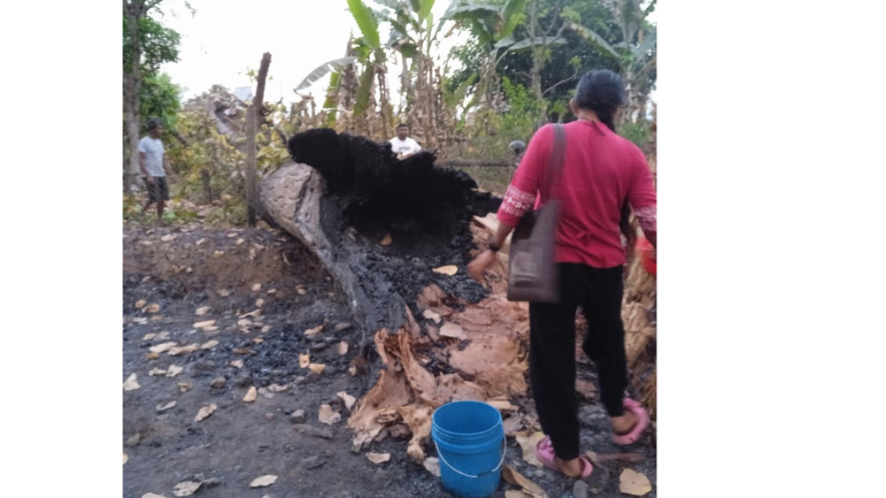 A house burnt down in the middle of a community forest fire