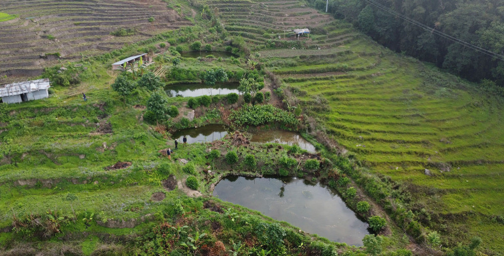 'Kamal' of Bhojpur, who returned from abroad and enjoyed fishing