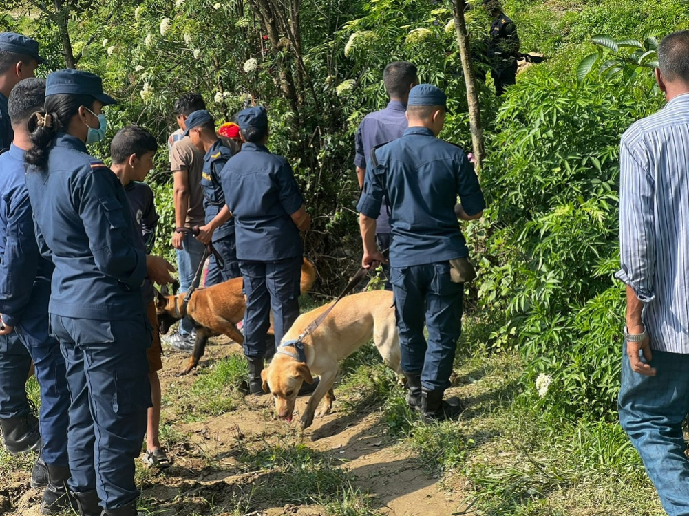 Dogs mobilized to search for a woman who was swept away by floods in Panauti