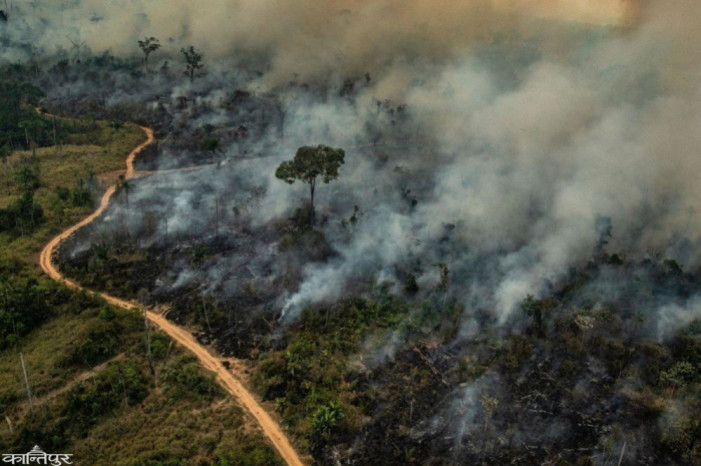 Advocacy will be continued on the international platform to protect the environment