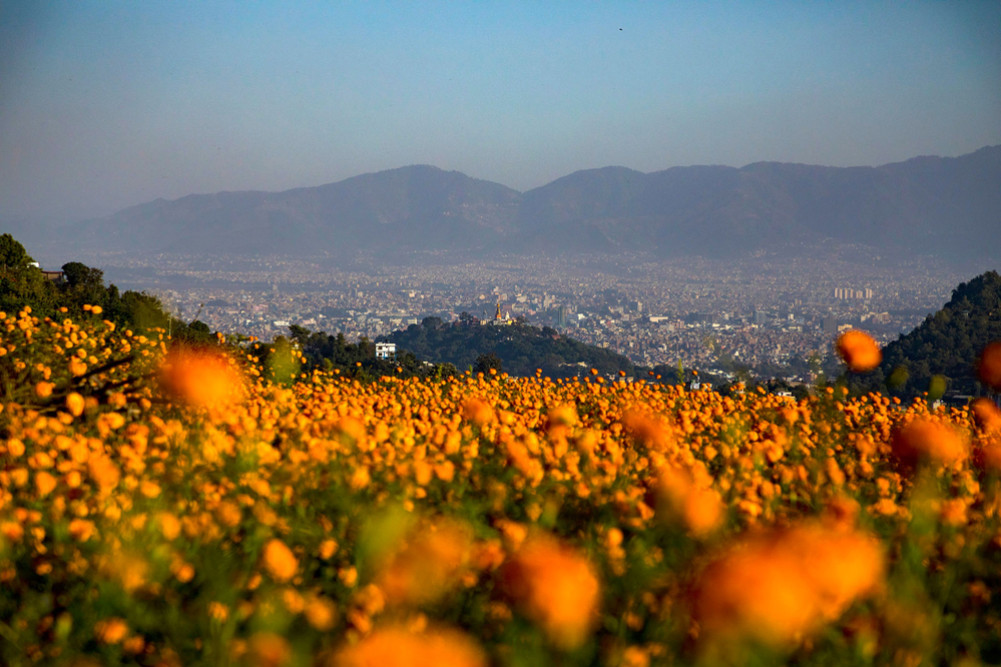 Festival of culture and prosperity: Tihar