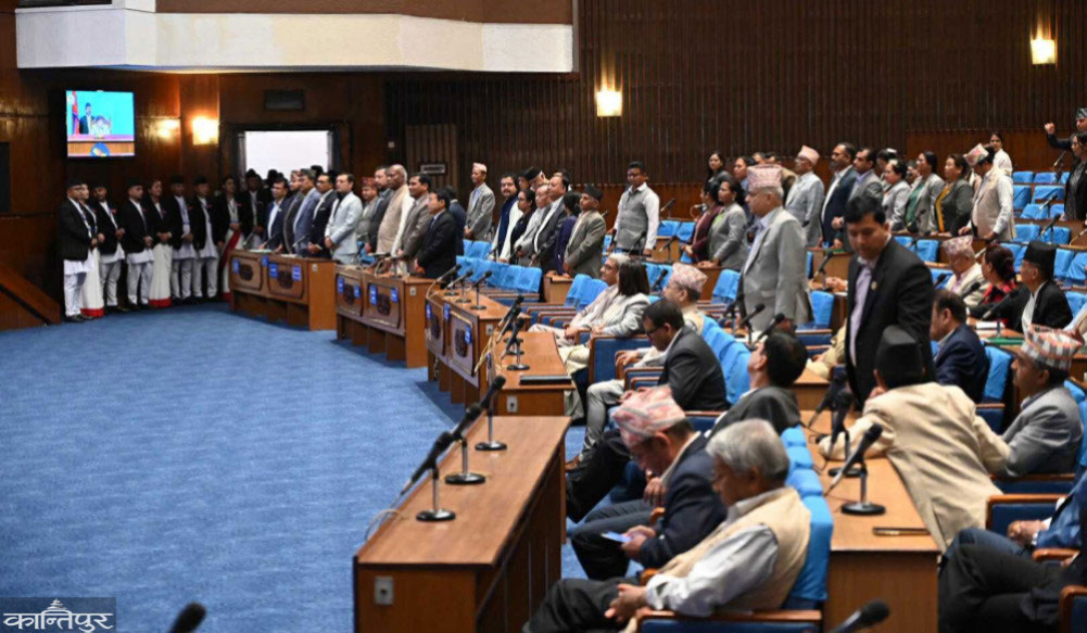 Interest groups in legislative formulation