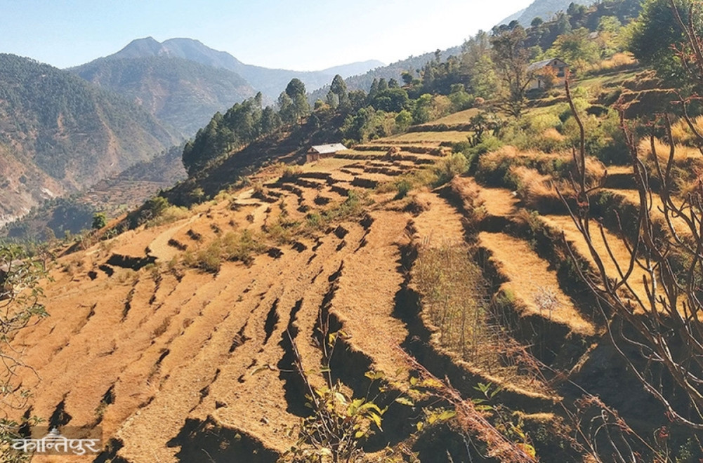 Fertile agricultural land turning barren