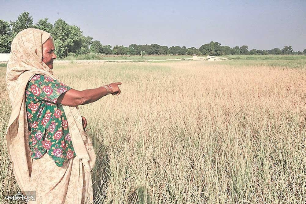 Lower classes and women affected by climate change