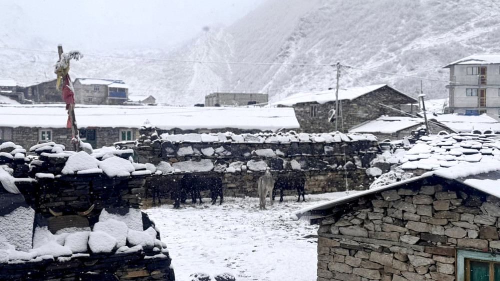 Heavy snowfall in North Gorkha's Samdo, tourists traveling to Larkepass stopped