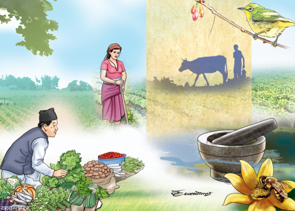 Challenges in the conservation of agricultural biodiversity
