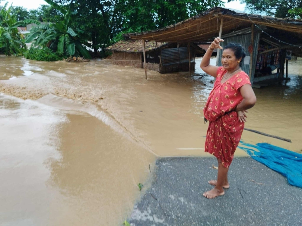 Rice worth Rs 50 million destroyed due to floods in Jhapa