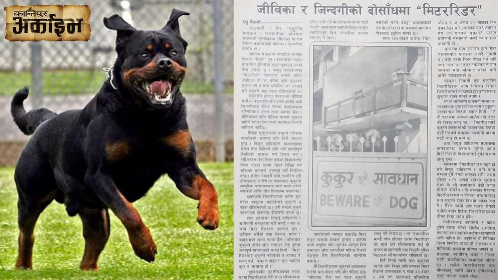 19 years of Devaratna's dog barking!