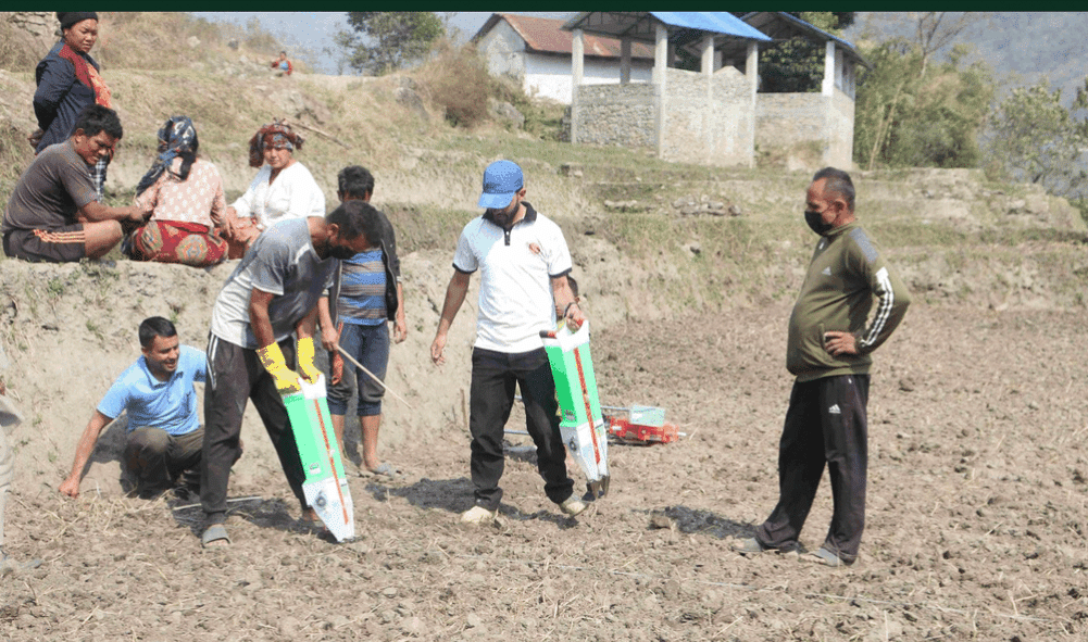 The farmers of Mikvakhola started collective corn farming