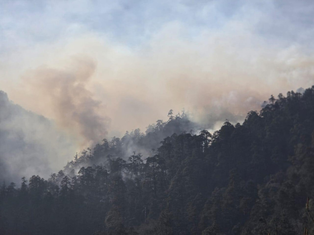 Fire is out of control in Timang forest in Manang