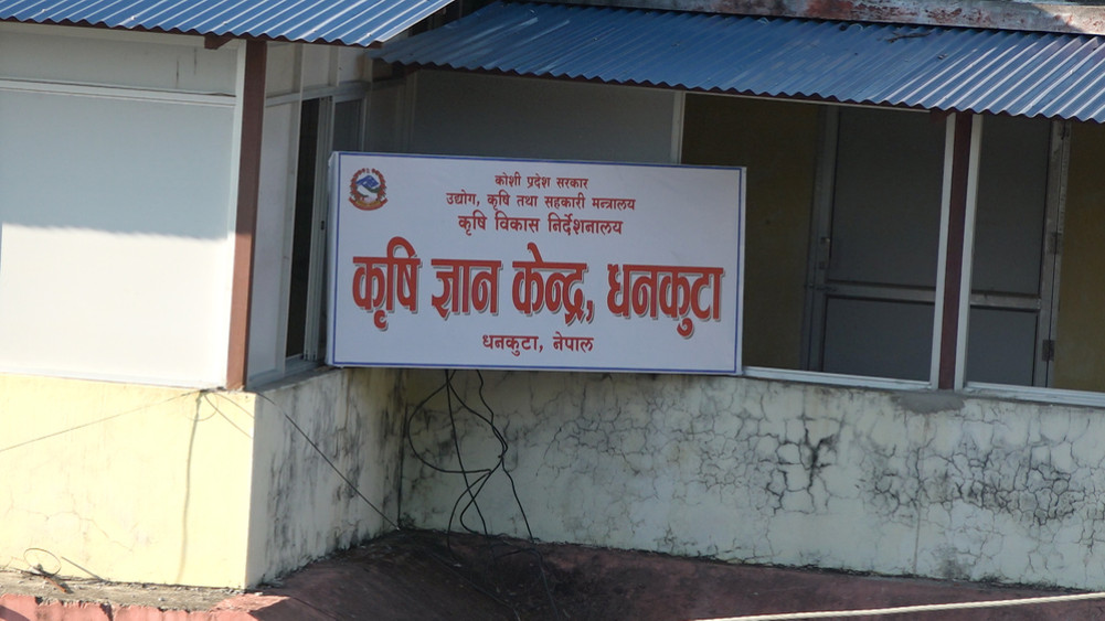 Mango Block Development Program in Dhankuta: Farmers' applications not accepted