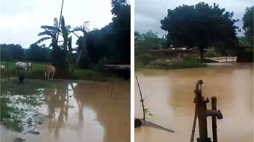 After the flood, Mechipari's life is chaotic