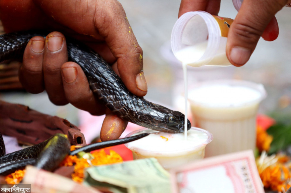 Nagpanchami festival is being celebrated today