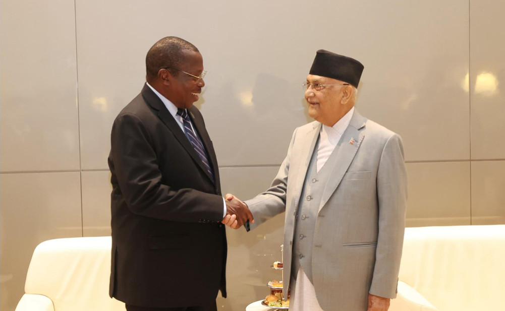 Meeting between Prime Minister Oli and Tanzanian Vice President Philip