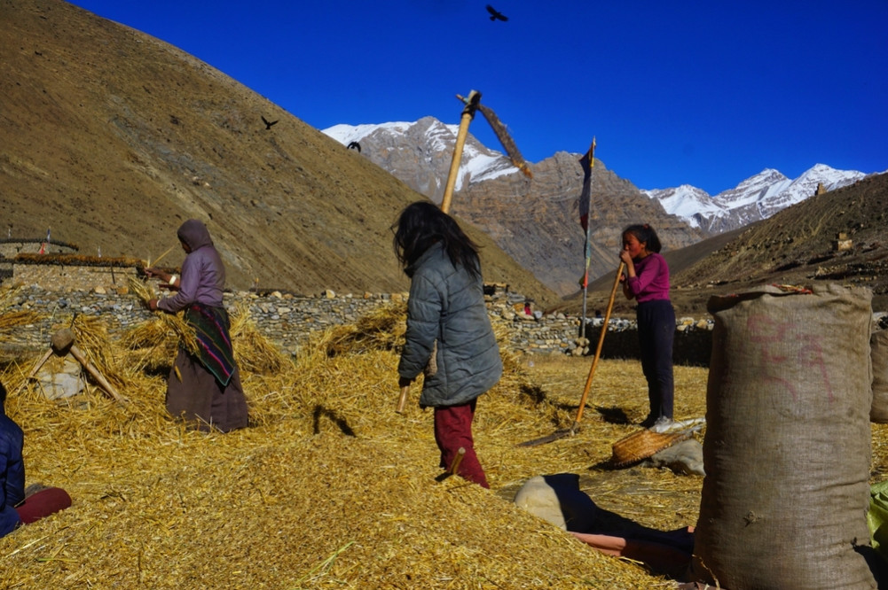 Traditional migration of Dho-Tarap