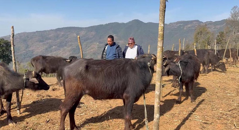 Diktel Roopakot distribution of yarn to the farmers of Majhuwagadhi