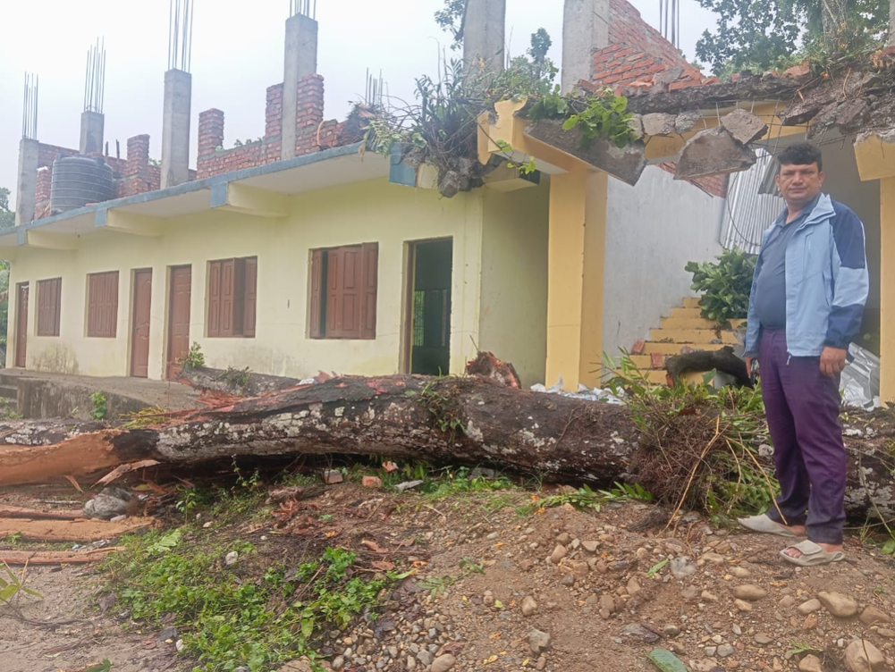 Damage to the school building when the wind felled a tree