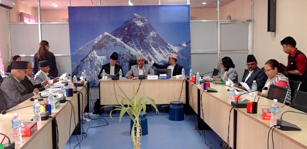 Parliamentary committee's suggestions on matters to be included in policies and programs