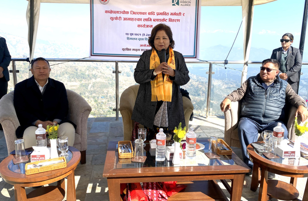 The government should prioritize the issue of safe motherhood and reproductive health: Foreign Minister Rana