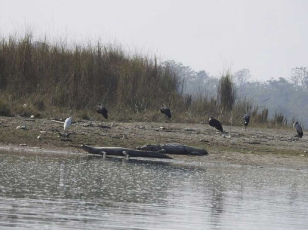 Today is World Wetlands Day