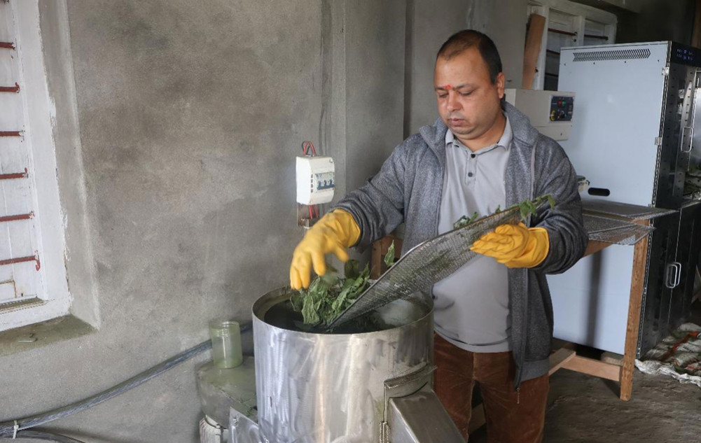 Sisno processing moves to Terhathum, struggling to keep up with demand from supermarkets