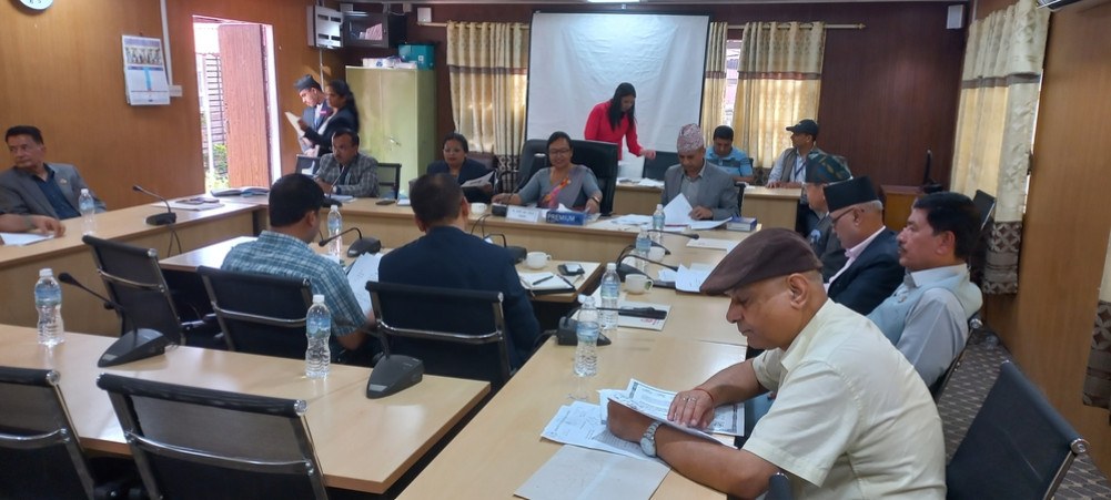 Parliamentary hearing process of proposed judge begins