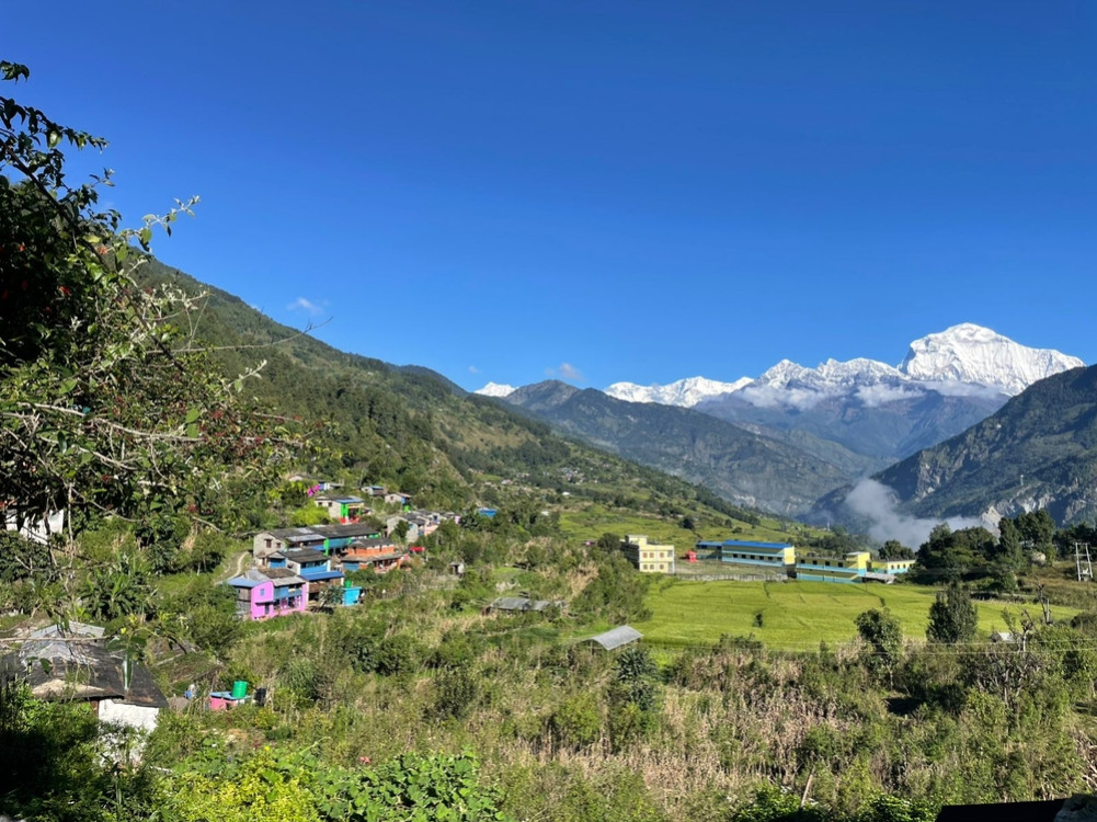 'Homestay' operation in 5 houses of Toripani