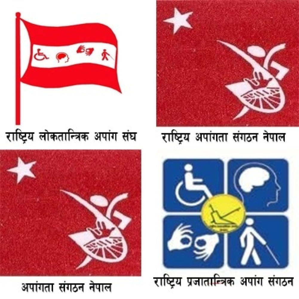 Demand for immediate correction of the exclusion of the cluster of people with disabilities in the election ordinance