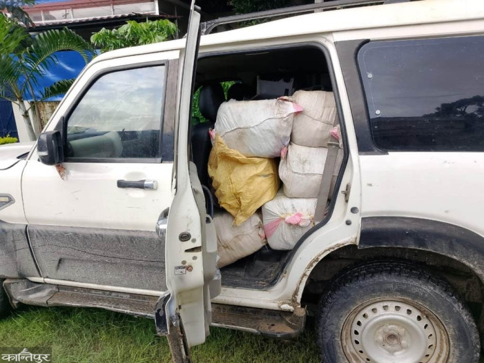 Over 33 quintals of marijuana seized in Saptari at midnight, 3 drivers abscond