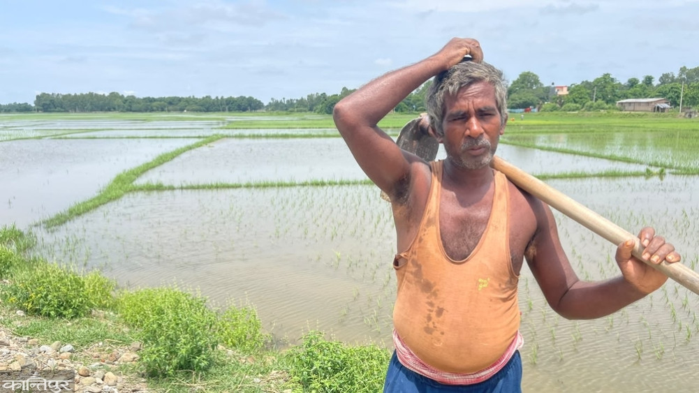 Farmers disappointed as hopes for 'Batiya' fields dwindle as plantings sink