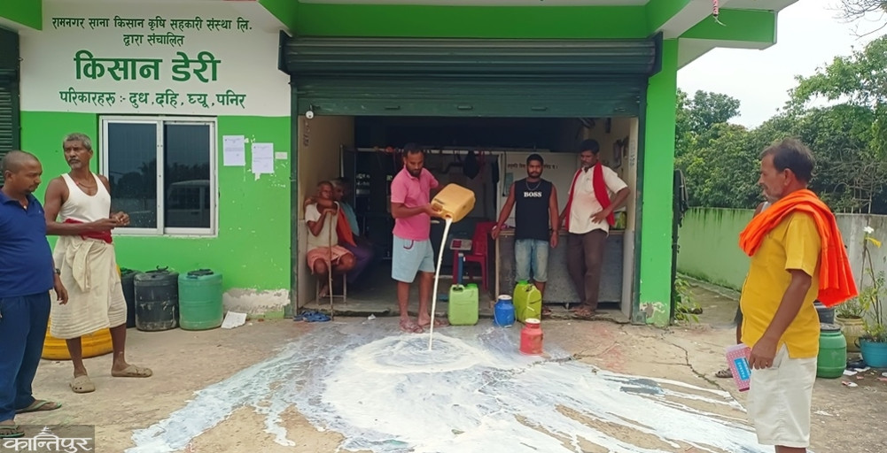 Angry farmer spills milk after dairy refuses to buy it