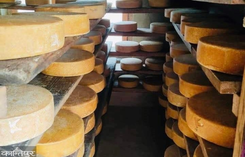 Yak cheese business with 75 years of history in crisis