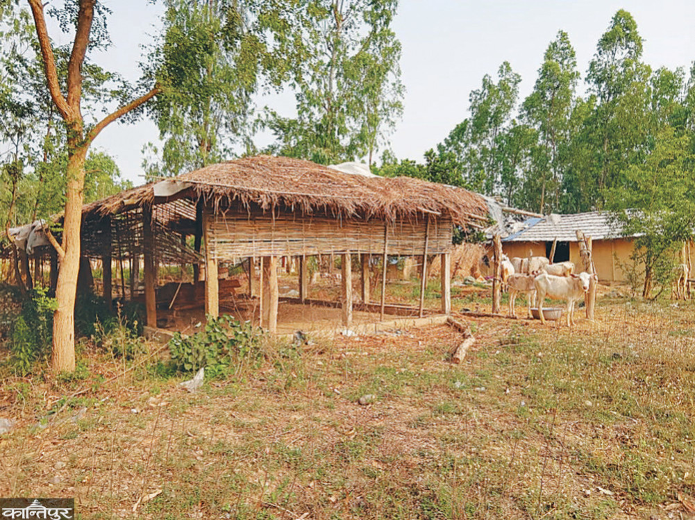 10-point suggestions to ensure the rights of the landless in the election manifesto