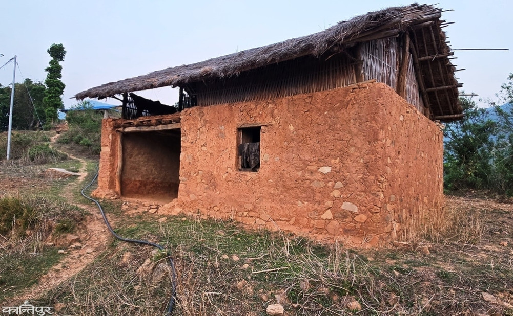 Farmers fleeing farmlands and entering cities due to monkey terror