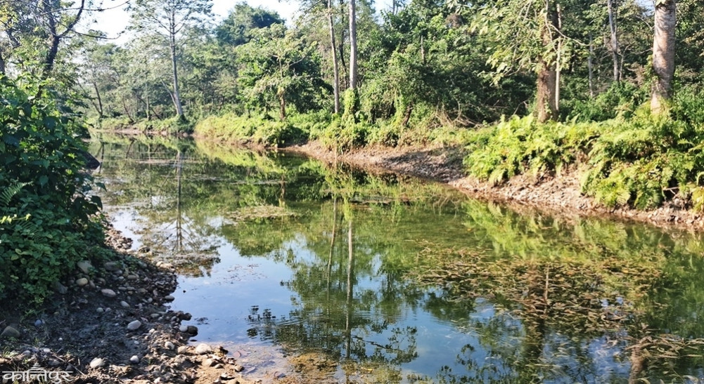 Artificial pond created in forest through solar boring after wetlands dry up