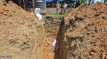 Farmer hit by bird flu: Farm emptied at a time when earning money